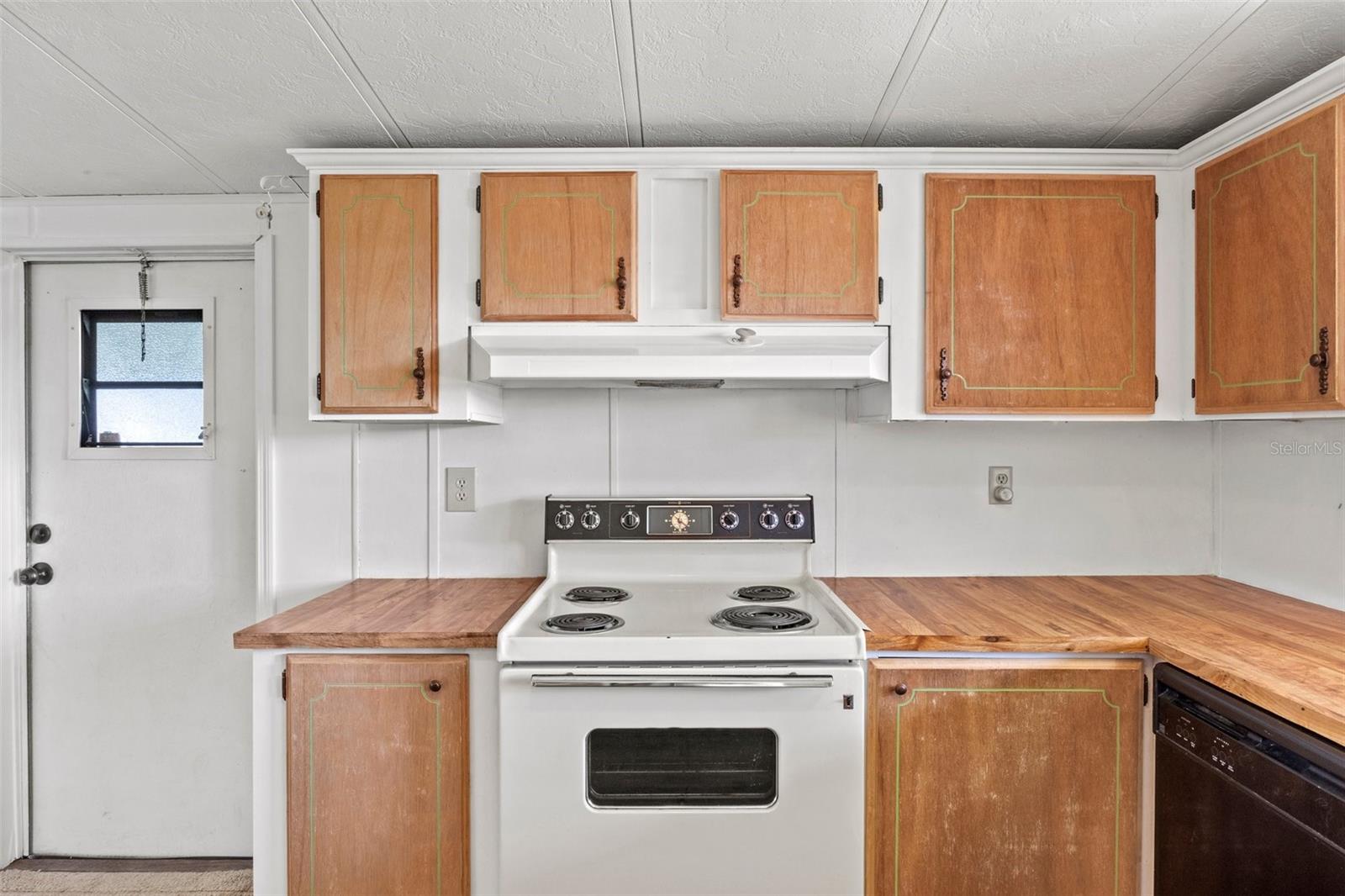 3931 CHRIS DR, WESLEY CHAPEL, FL, 33543