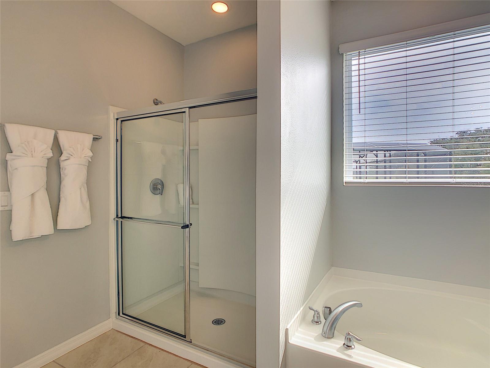 8039 OAK SHADOW CT, DAVENPORT, FL, 33837