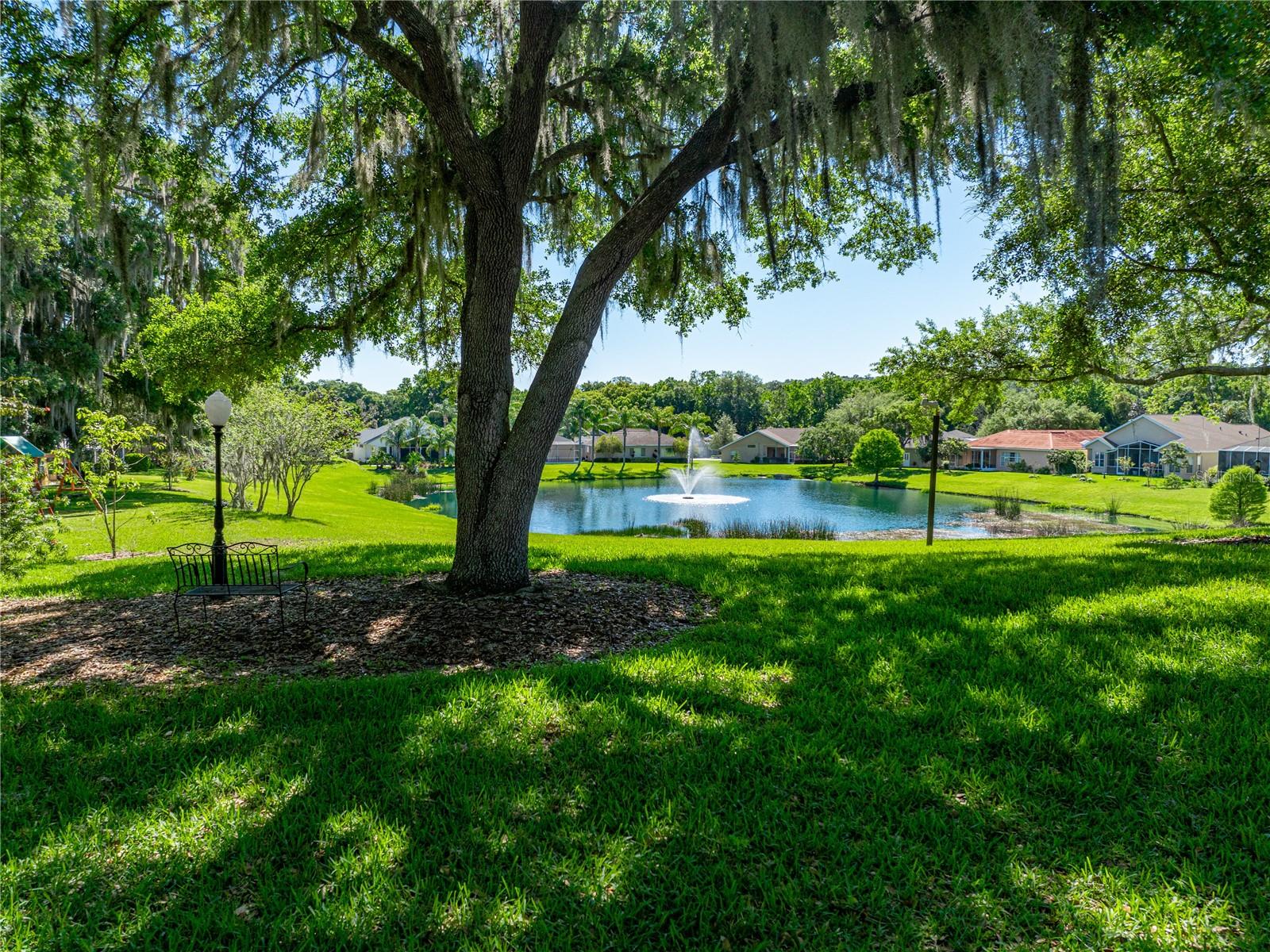 12215 WOODLANDS CIR, DADE CITY, FL, 33525