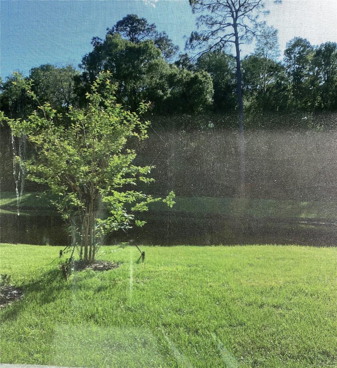 17522 N NECTAR FLUME DR, LAND O LAKES, FL, 34638