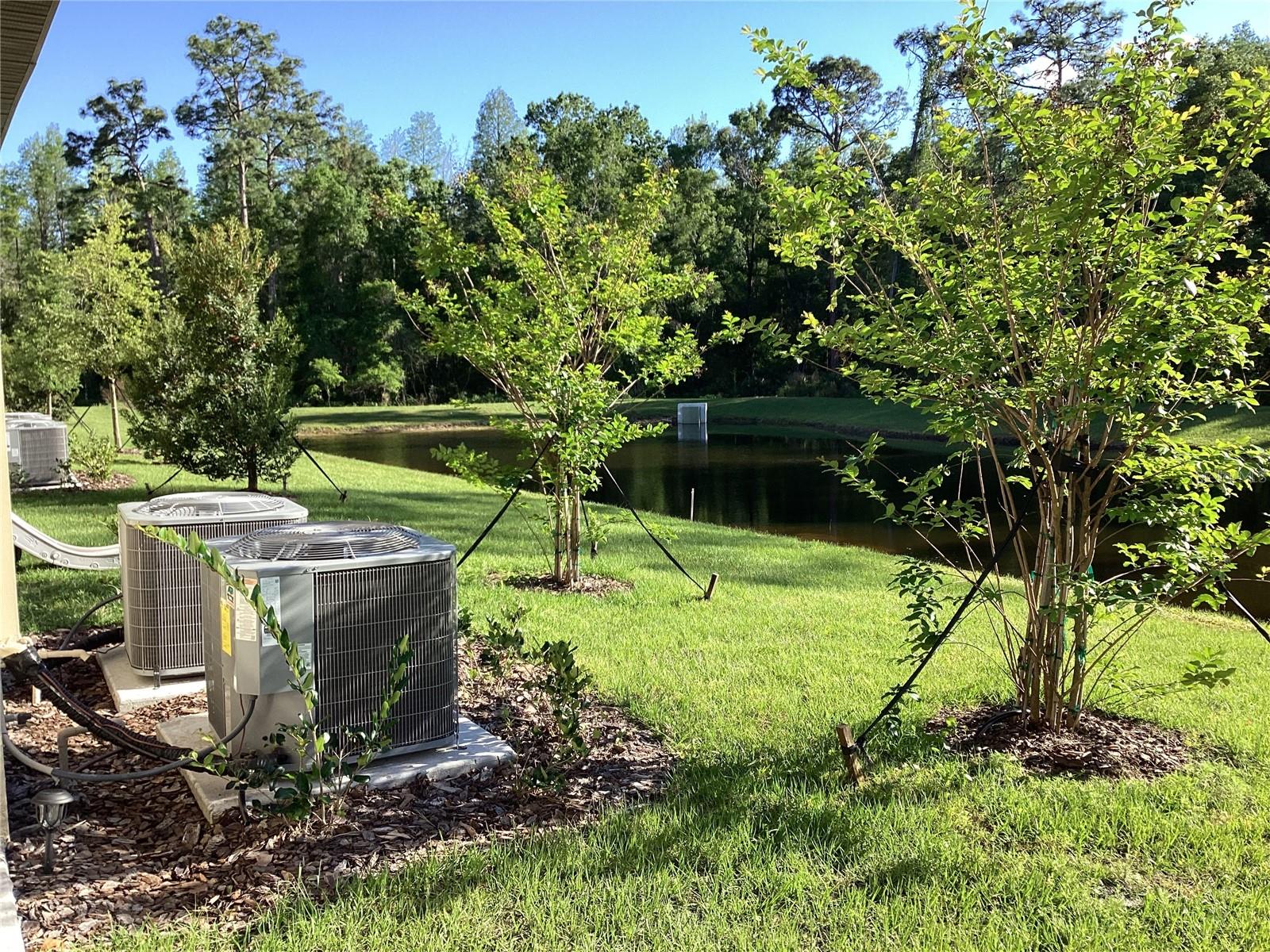 17522 N NECTAR FLUME DR, LAND O LAKES, FL, 34638
