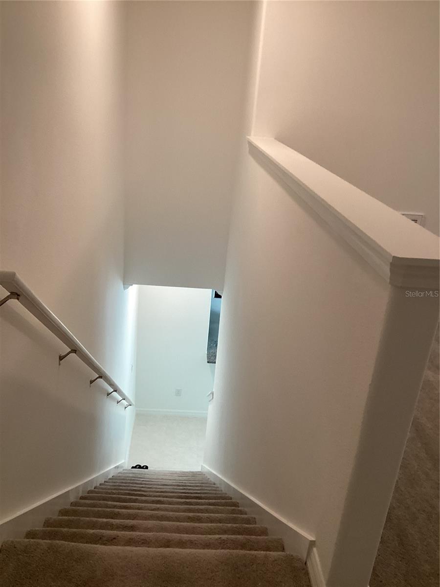 17522 N NECTAR FLUME DR, LAND O LAKES, FL, 34638
