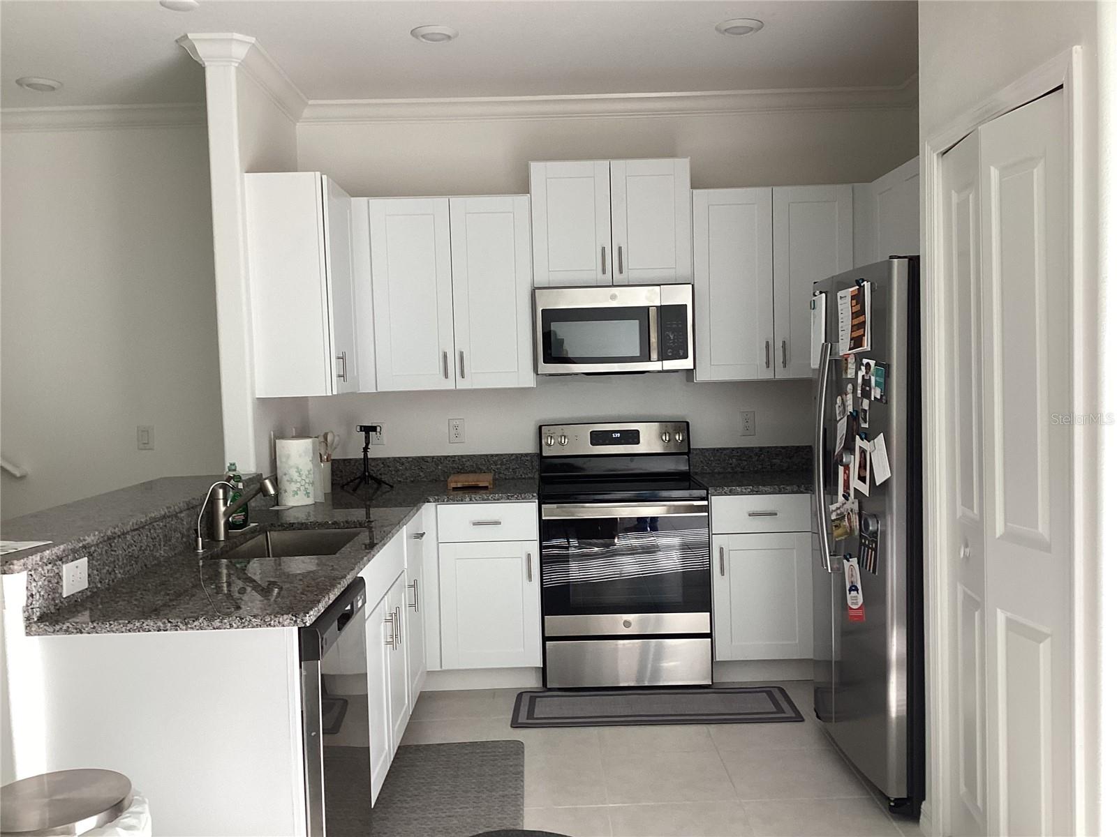 17522 N NECTAR FLUME DR, LAND O LAKES, FL, 34638