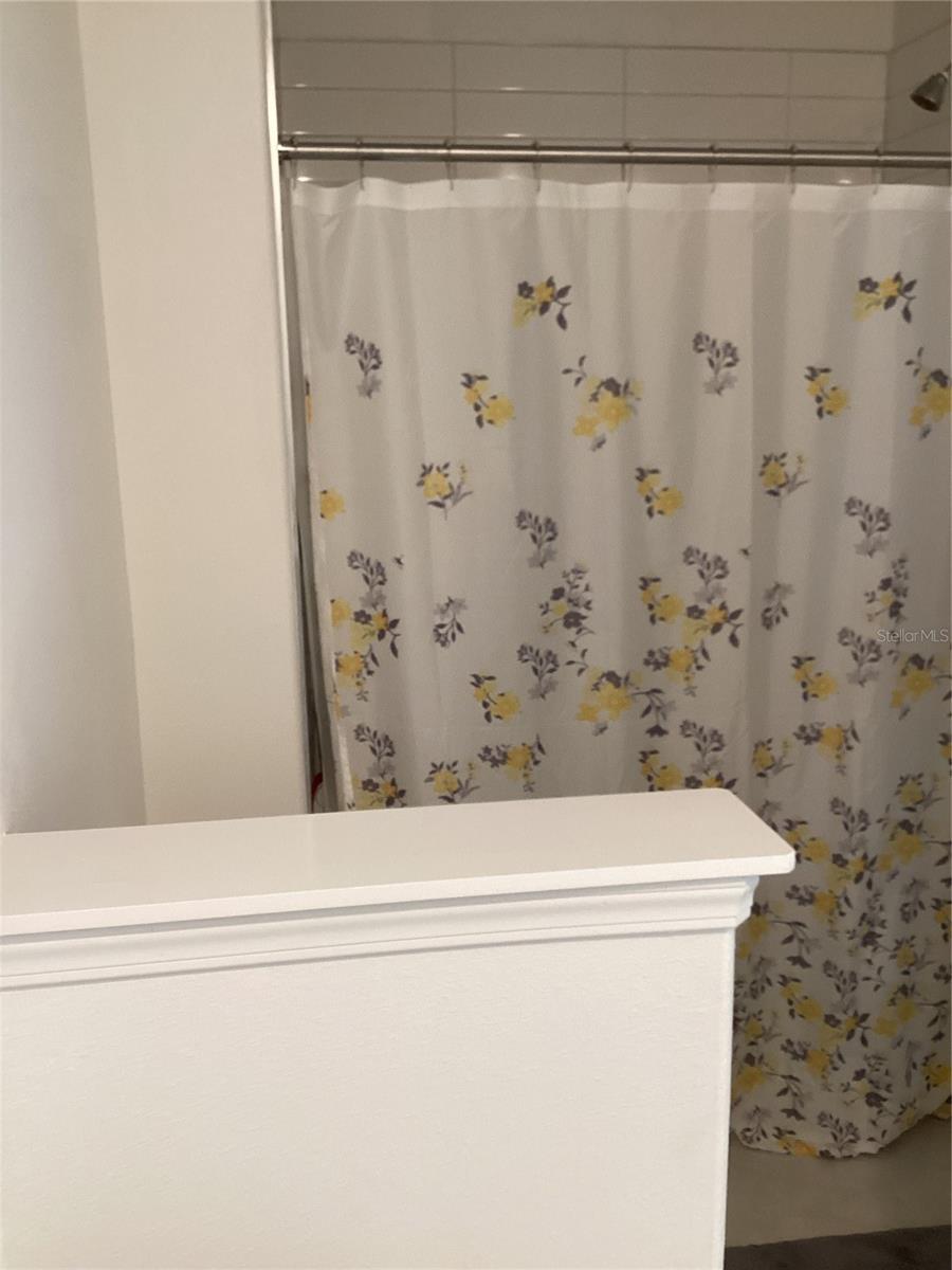 17522 N NECTAR FLUME DR, LAND O LAKES, FL, 34638