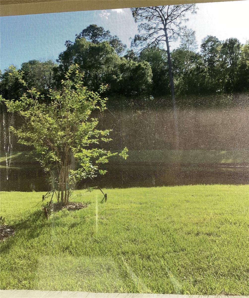 17522 N NECTAR FLUME DR, LAND O LAKES, FL, 34638