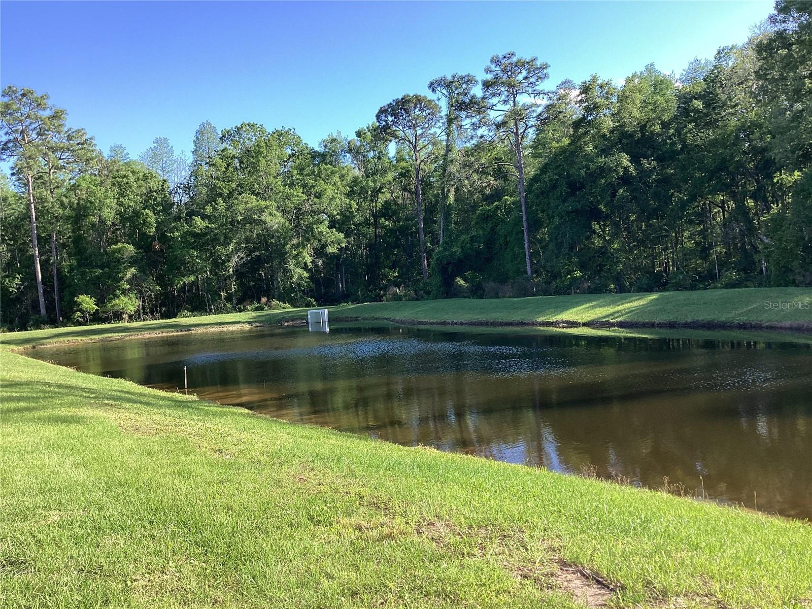 17522 N NECTAR FLUME DR, LAND O LAKES, FL, 34638
