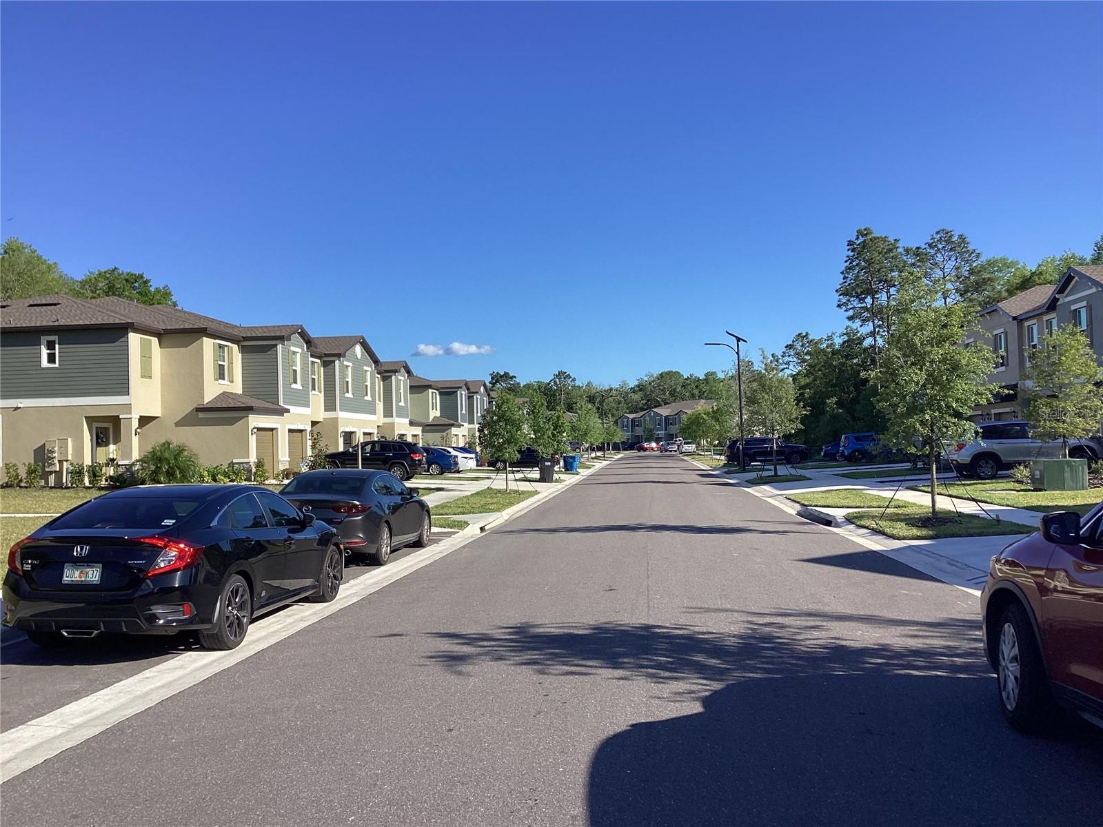 17522 N NECTAR FLUME DR, LAND O LAKES, FL, 34638