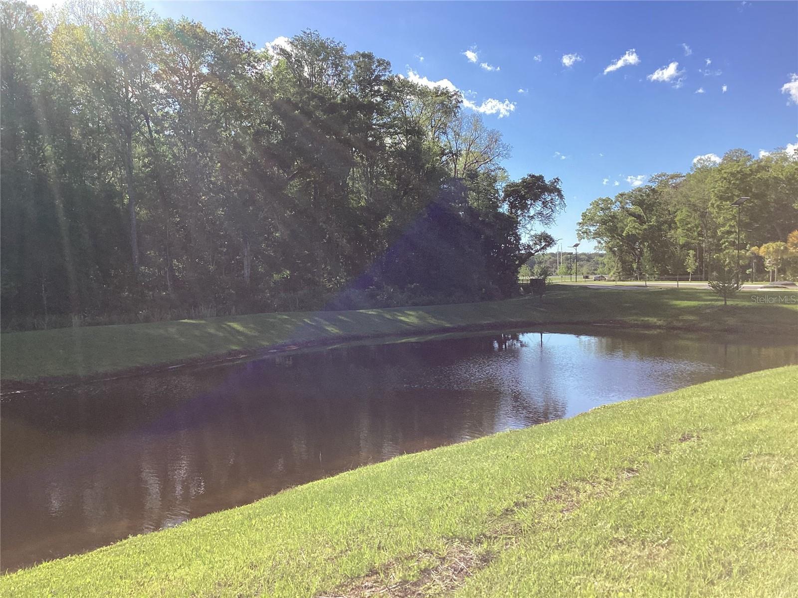 17522 N NECTAR FLUME DR, LAND O LAKES, FL, 34638