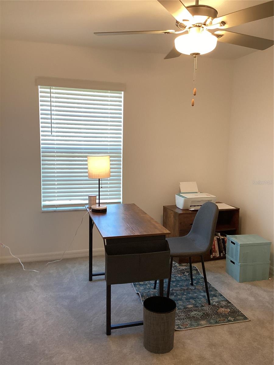 17522 N NECTAR FLUME DR, LAND O LAKES, FL, 34638