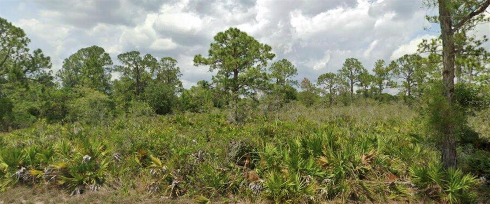 246 CARDINAL AVE, SEBRING, FL, 33870