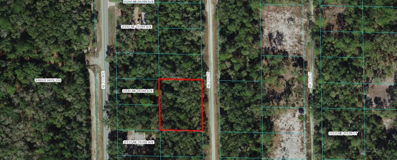 TBD NE 110 CT, FORT MC COY, FL, 32134