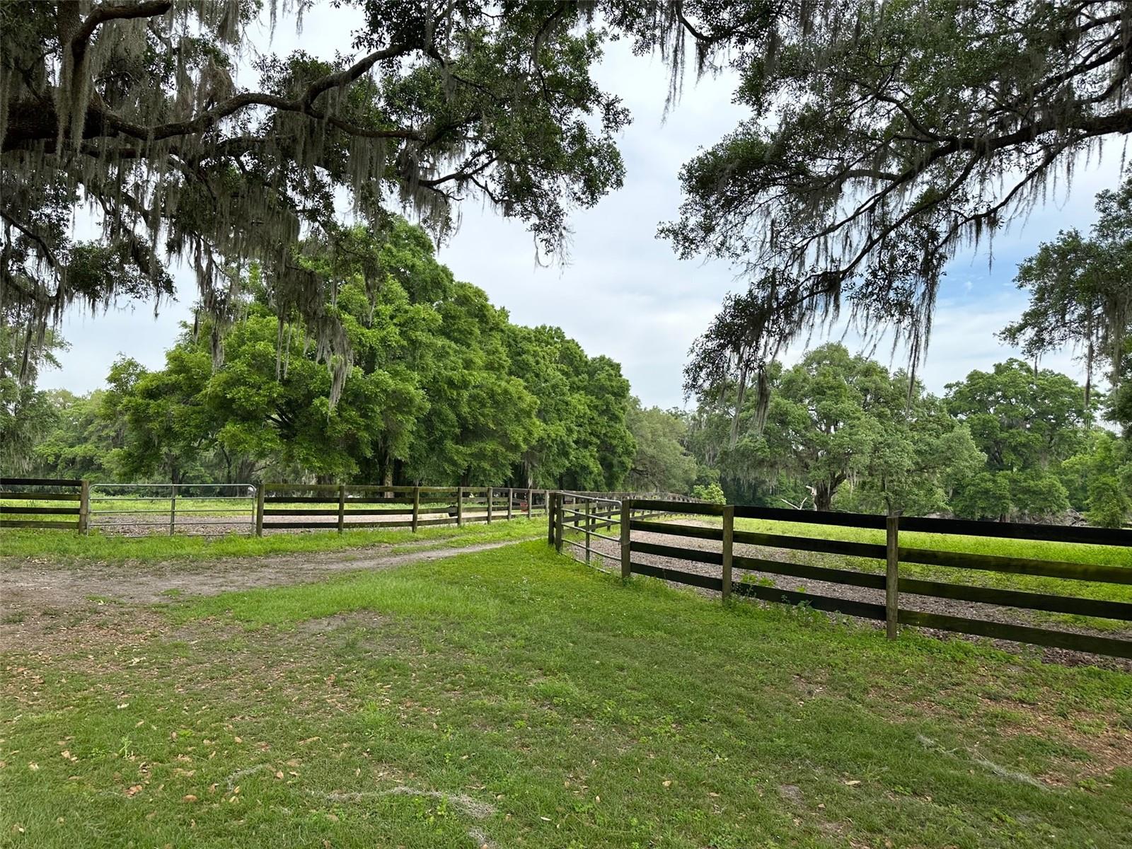 OM676140 Property Photo