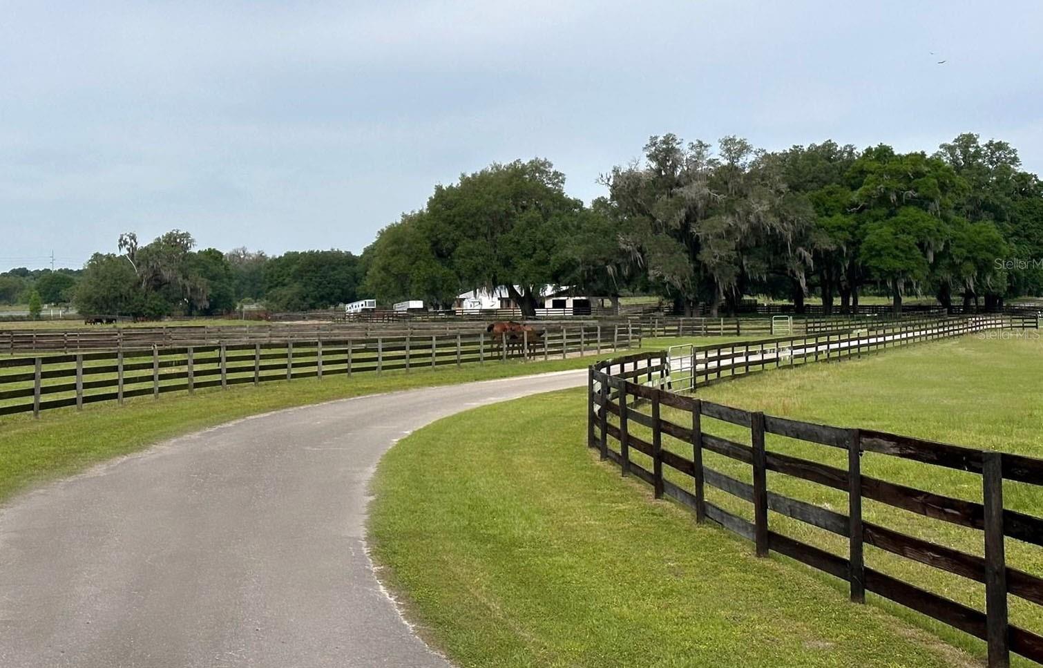 OM676140 Property Photo