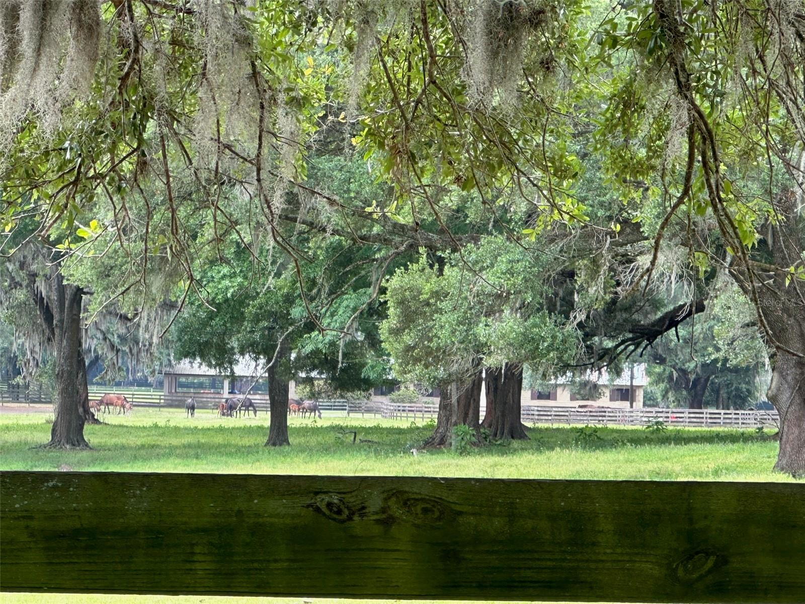 OM676140 Property Photo