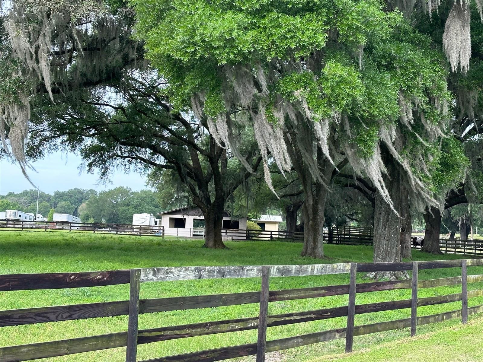 OM676140 Property Photo