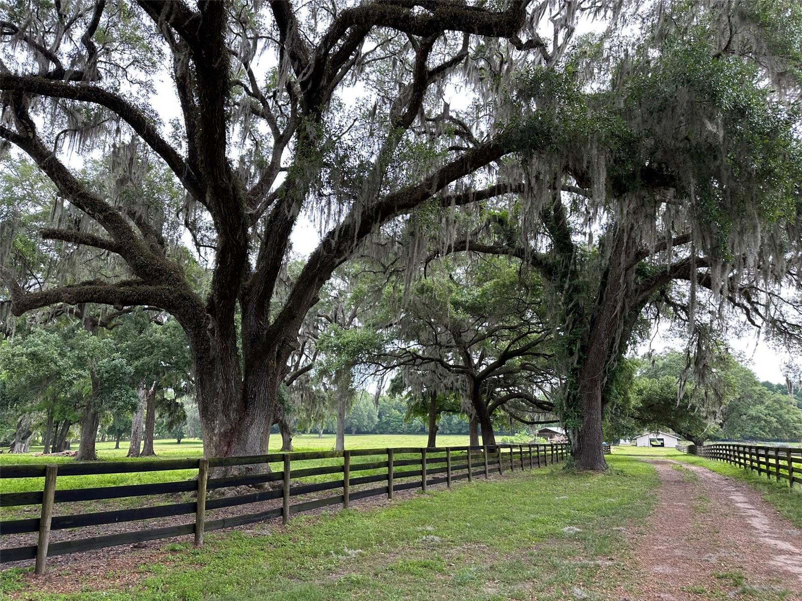 OM676140 Property Photo