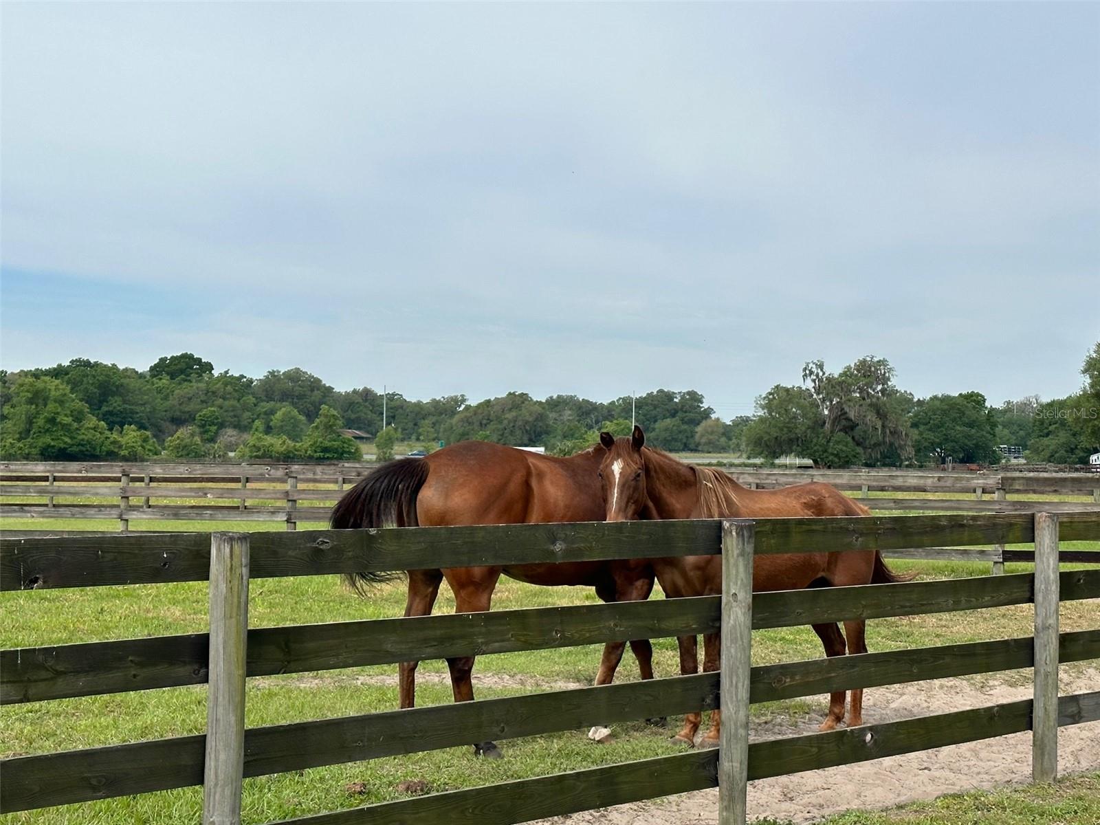 OM676140 Property Photo