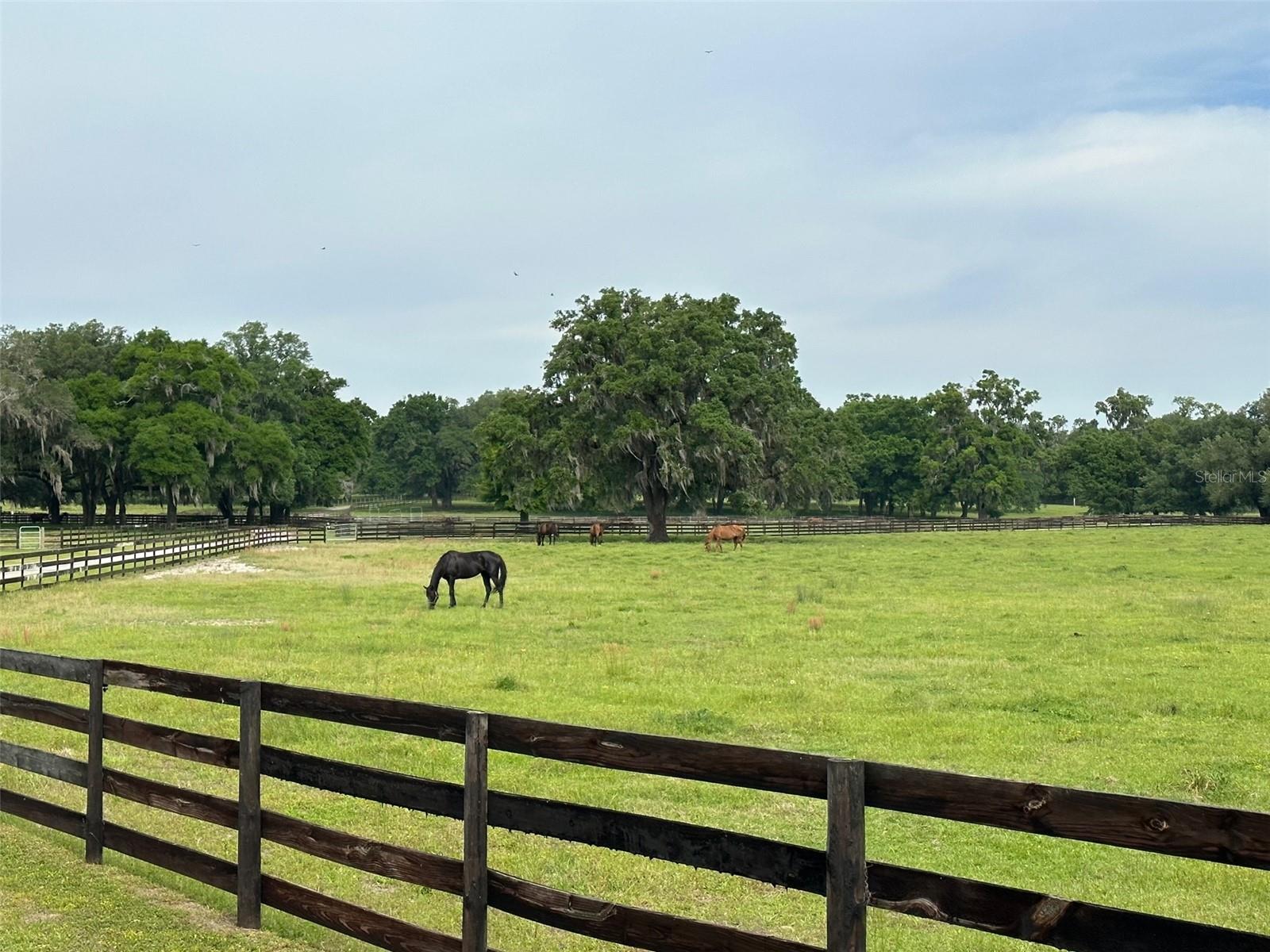 OM676140 Property Photo