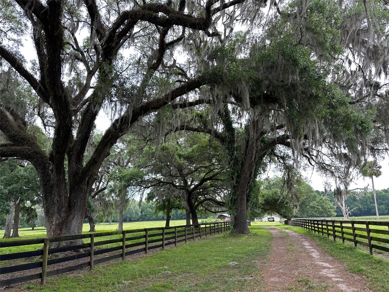 OM676140 Property Photo