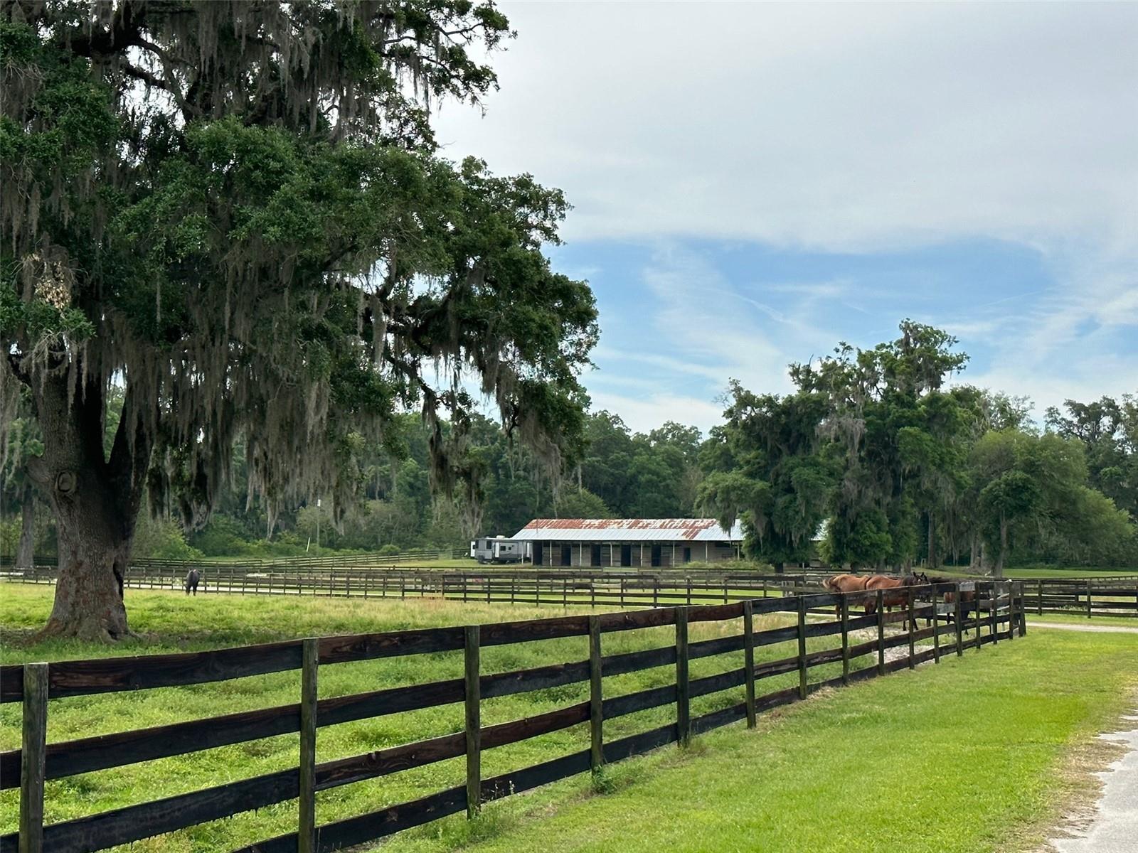 OM676140 Property Photo