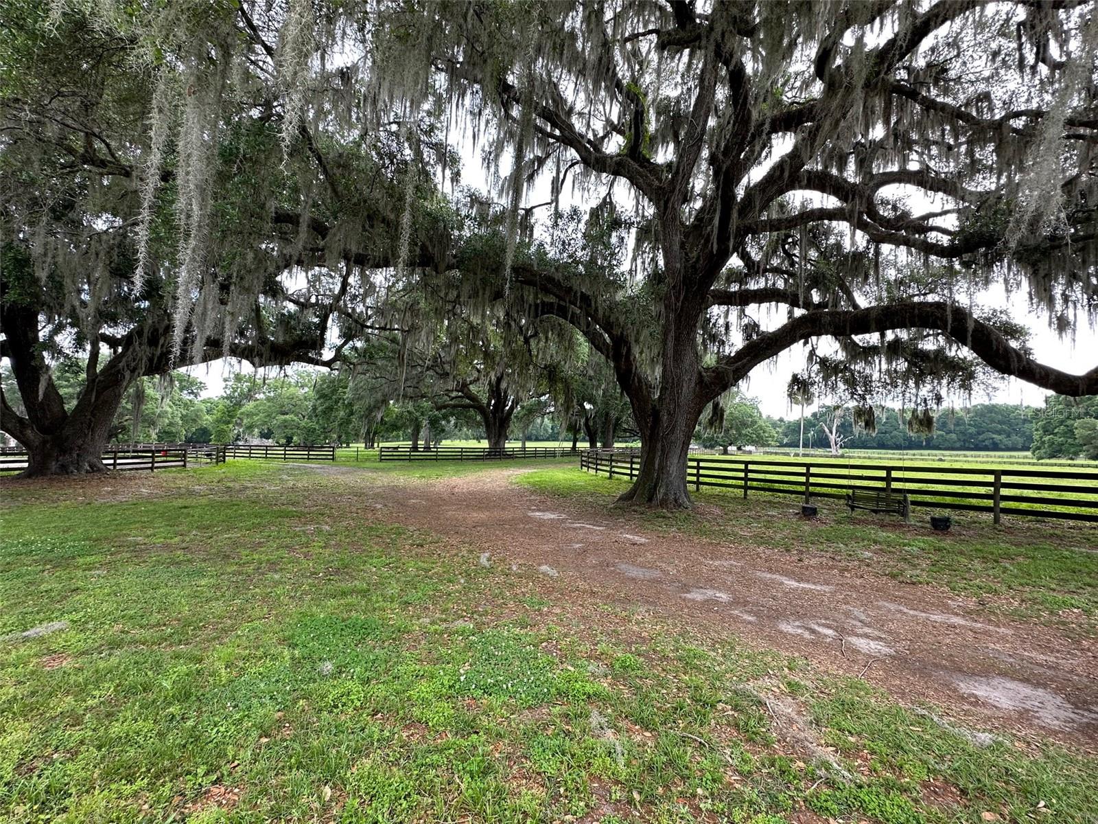 OM676140 Property Photo