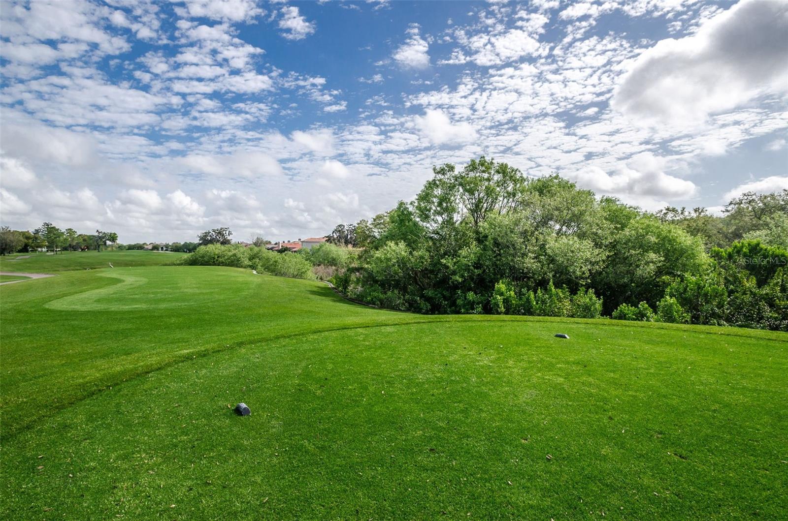 36750 US HIGHWAY 19 N #17-110, PALM HARBOR, FL, 34684