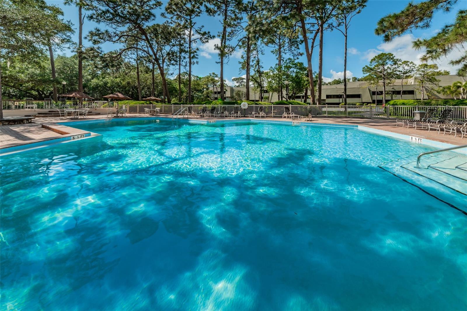 36750 US HIGHWAY 19 N #17-110, PALM HARBOR, FL, 34684