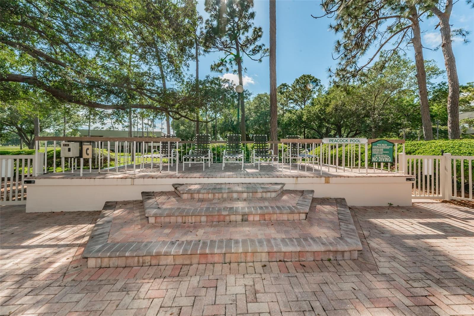 36750 US HIGHWAY 19 N #17-110, PALM HARBOR, FL, 34684