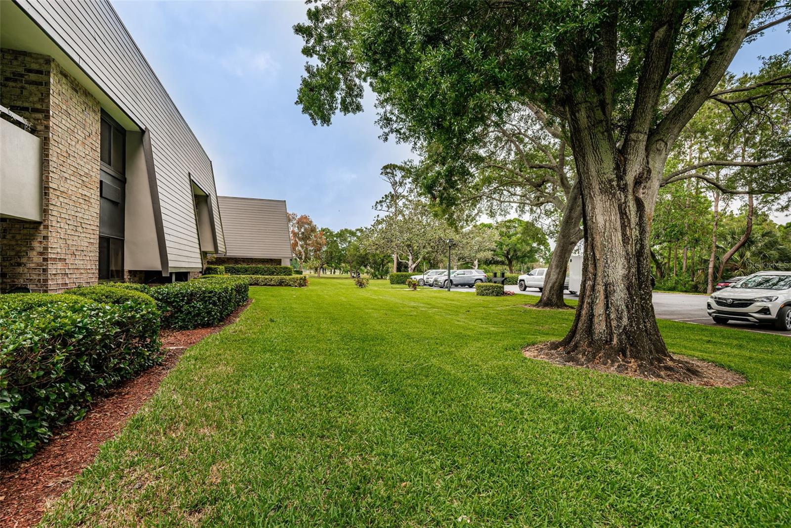 36750 US HIGHWAY 19 N #17-110, PALM HARBOR, FL, 34684