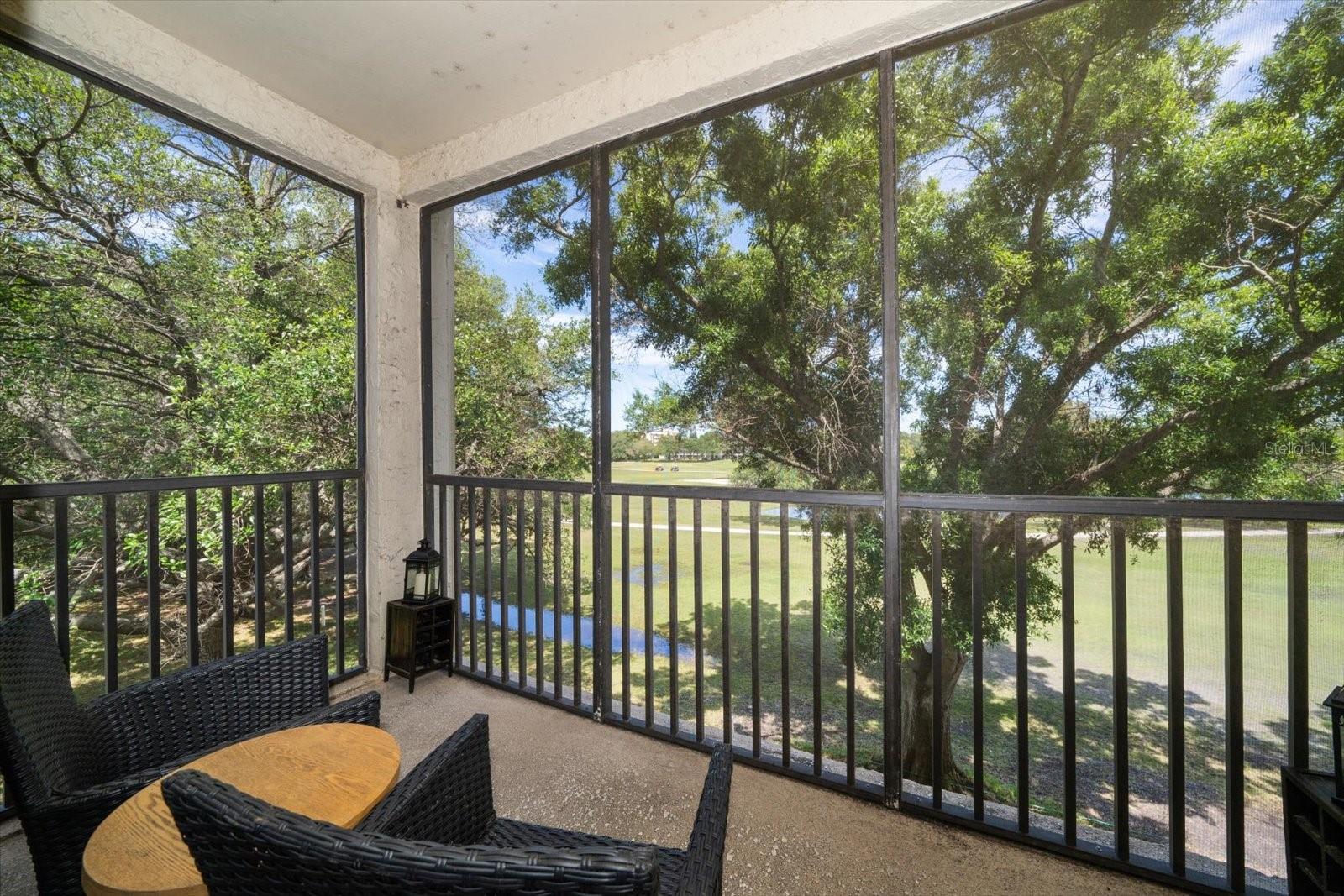 700 STARKEY RD #333, LARGO, FL, 33771