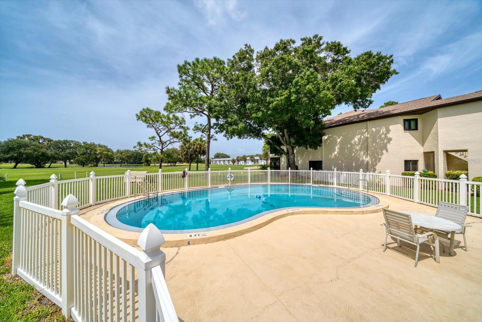 700 STARKEY RD #333, LARGO, FL, 33771