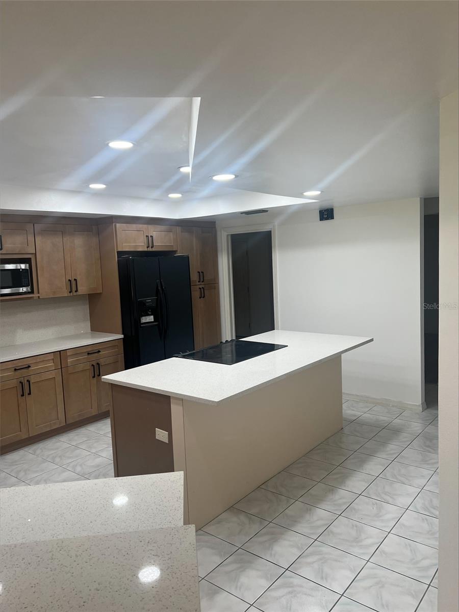 16125 ANCROFT CT, TAMPA, FL, 33647