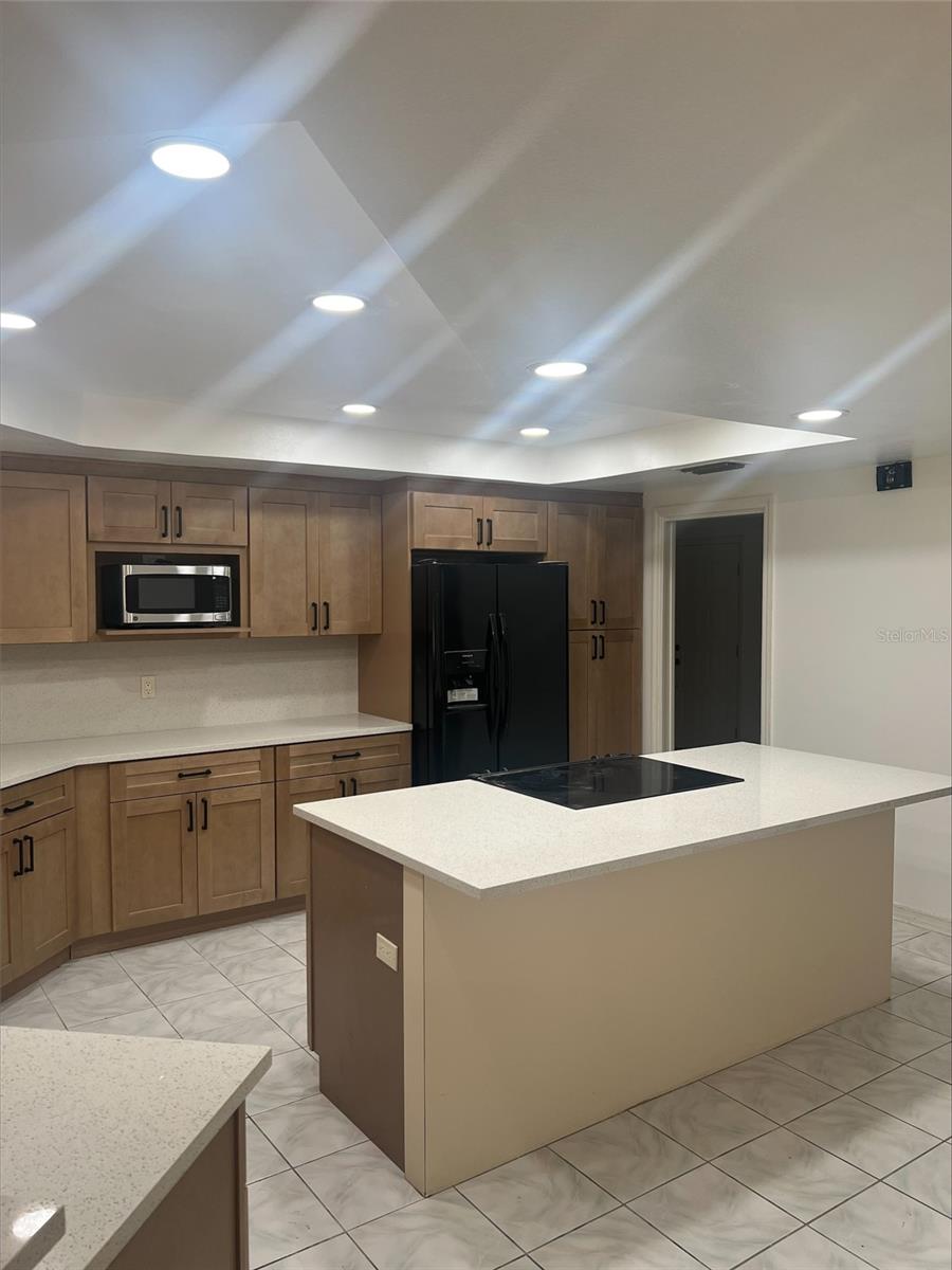 16125 ANCROFT CT, TAMPA, FL, 33647