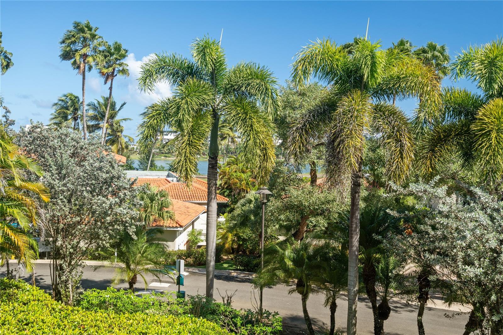 PR9105564 Property Photo