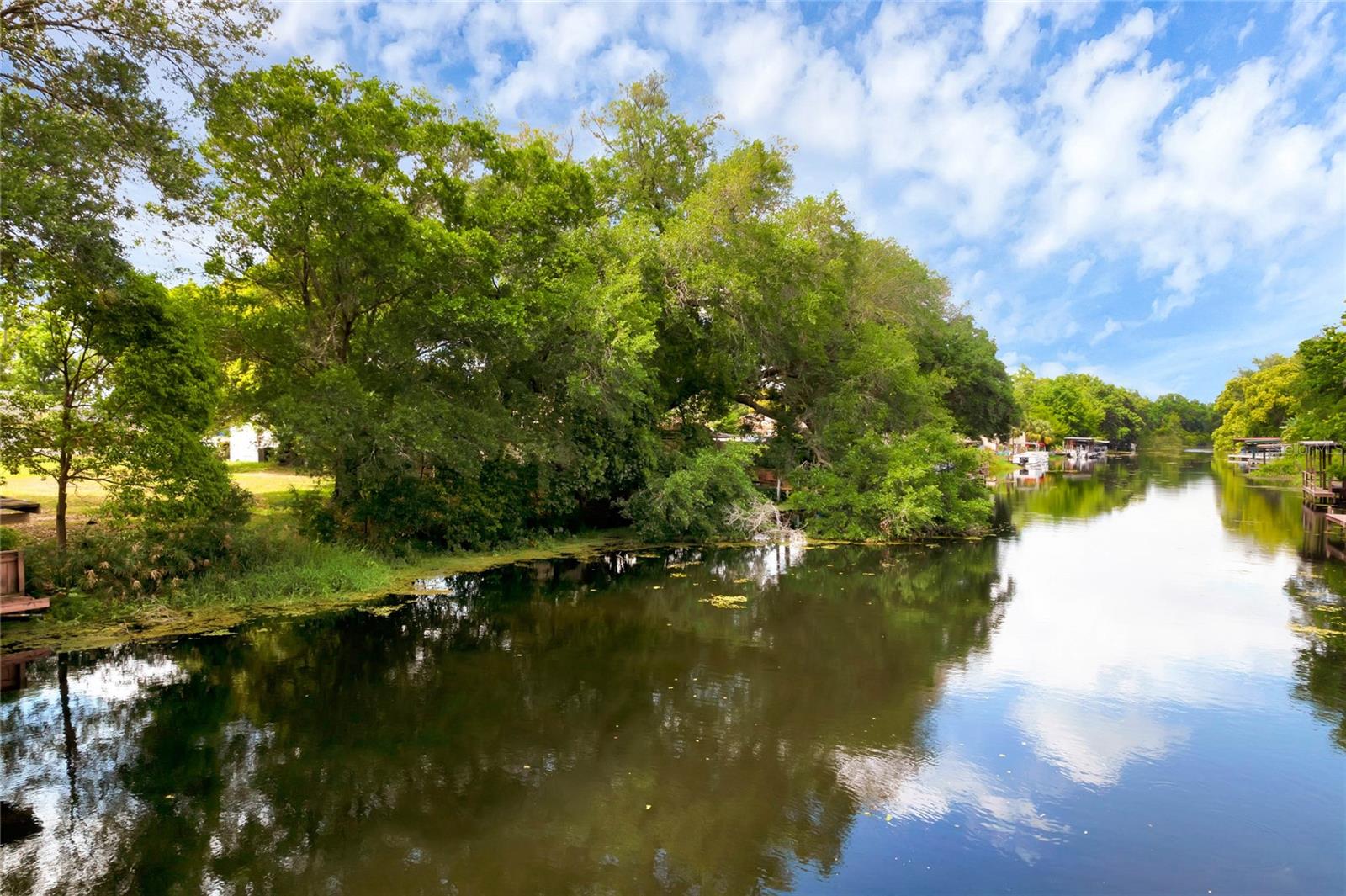 LISA DR, TAVARES, FL, 32778