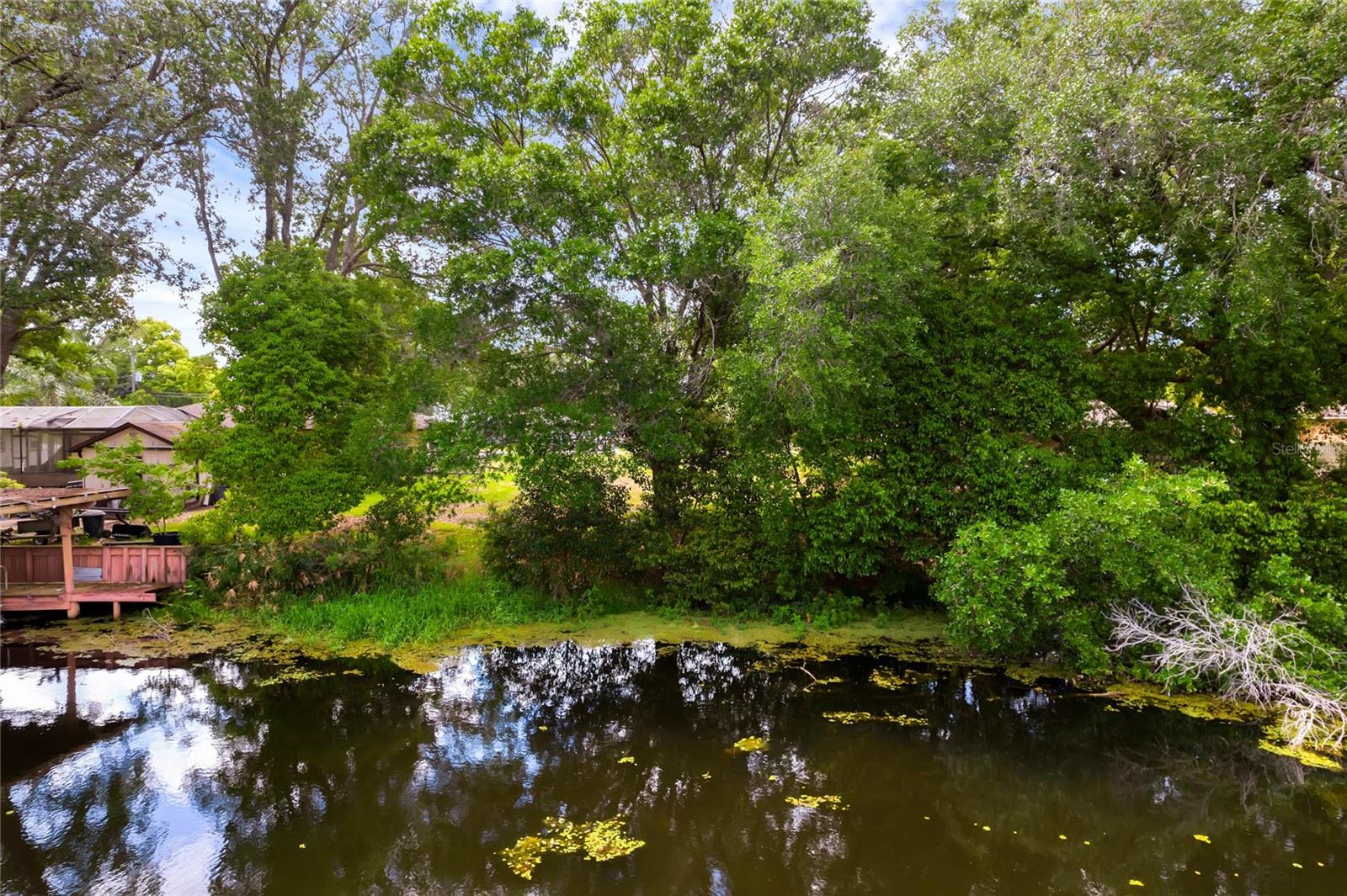 LISA DR, TAVARES, FL, 32778
