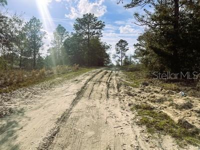 LOT 6 SW 28TH LN, OCALA, FL, 34481