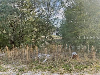 LOT 6 SW 28TH LN, OCALA, FL, 34481