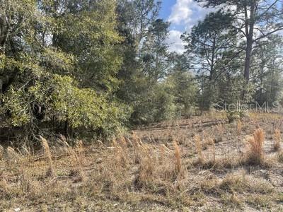 LOT 6 SW 28TH LN, OCALA, FL, 34481