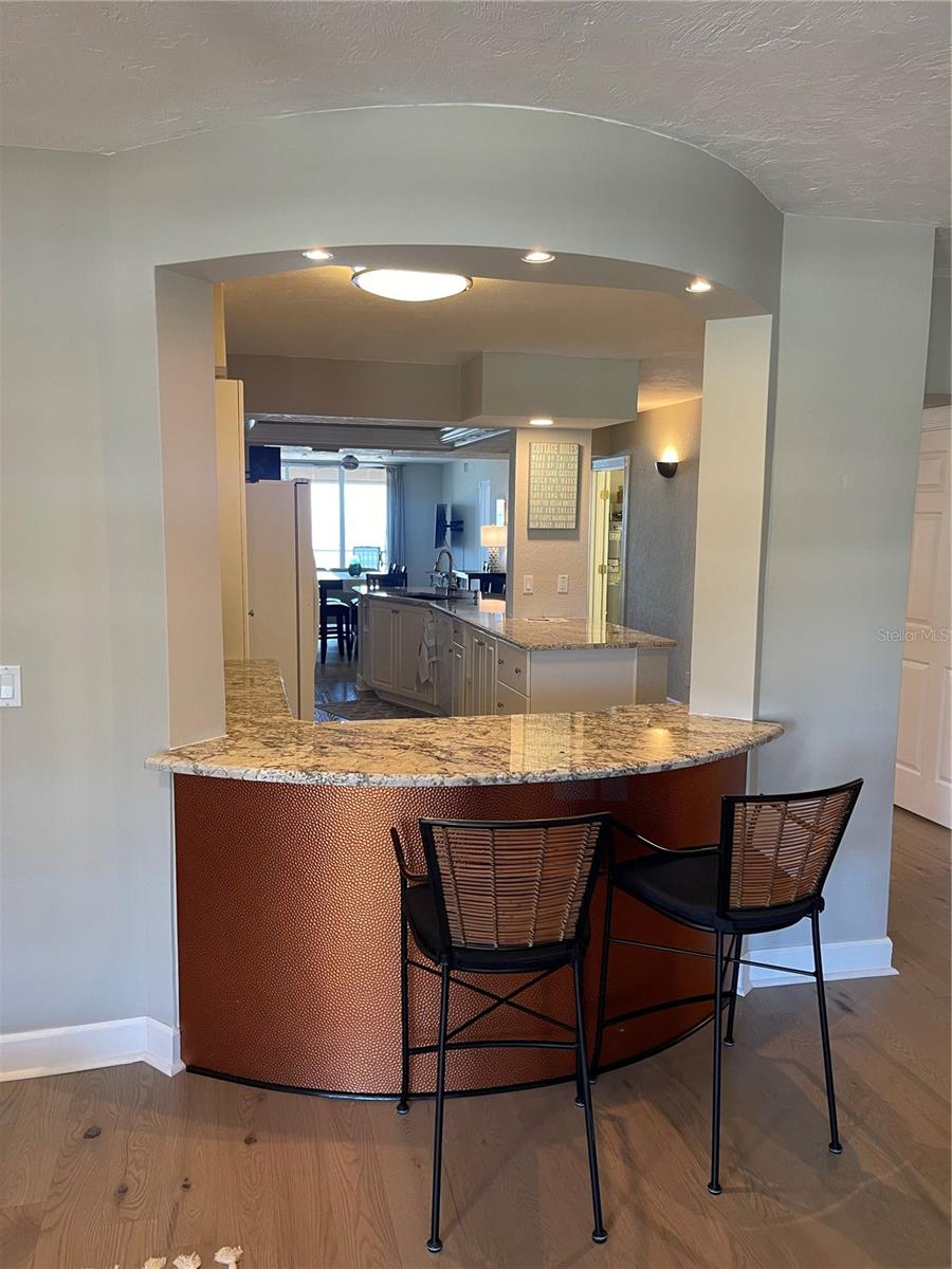 4651 S ATLANTIC AVE #9105, PONCE INLET, FL, 32127