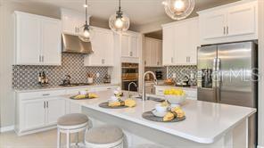 10571 PIEDRA DR, PALMETTO, FL, 34221