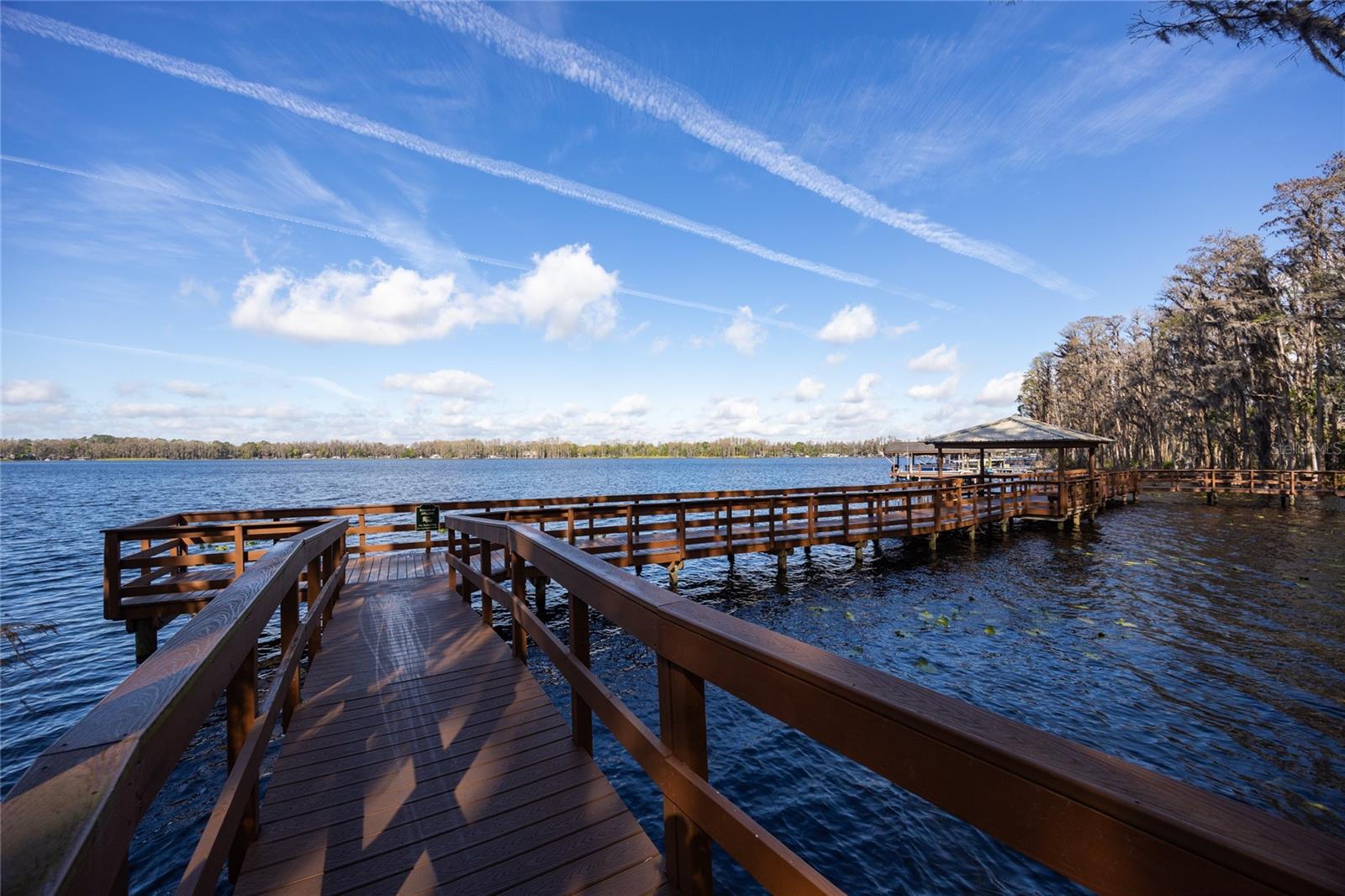 21312 PRESERVATION DR, LAND O LAKES, FL, 34638