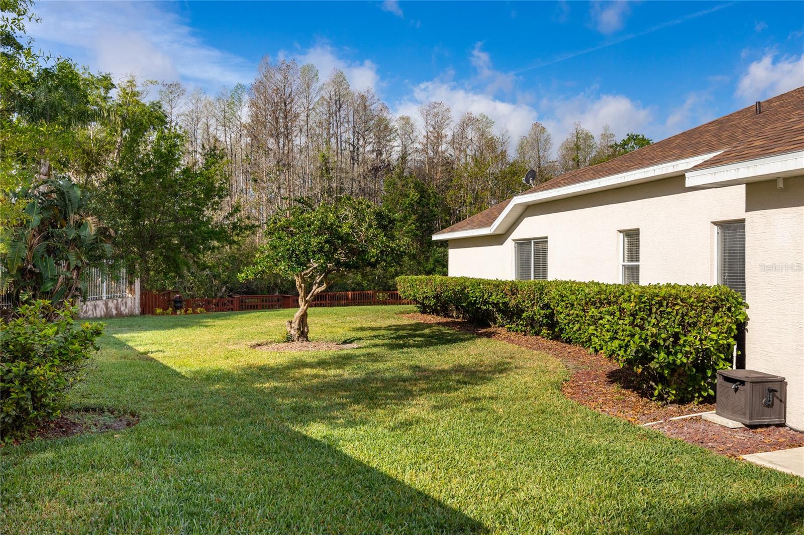 21312 PRESERVATION DR, LAND O LAKES, FL, 34638