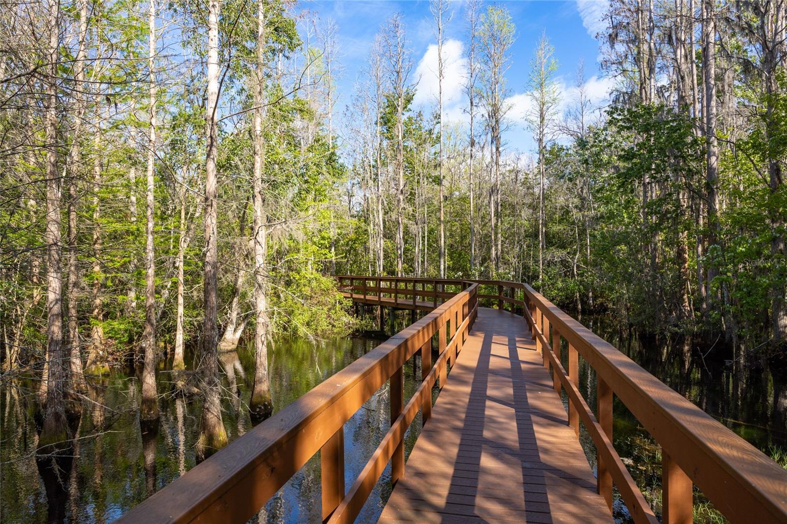 21312 PRESERVATION DR, LAND O LAKES, FL, 34638