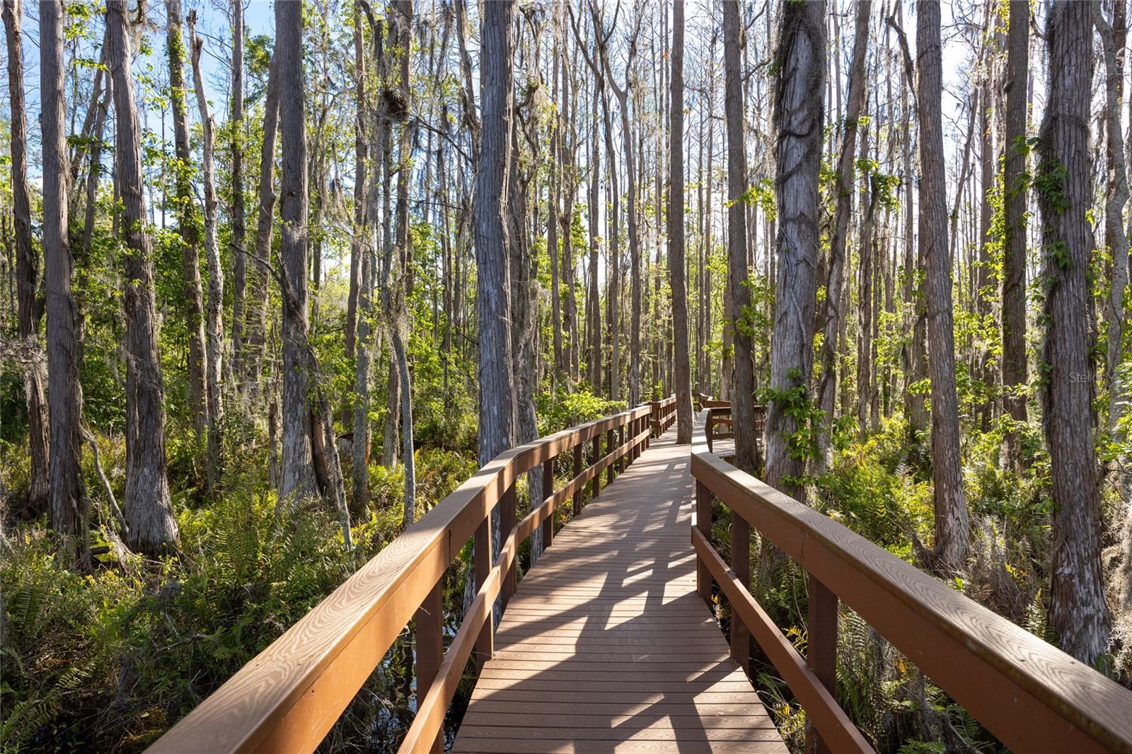 21312 PRESERVATION DR, LAND O LAKES, FL, 34638