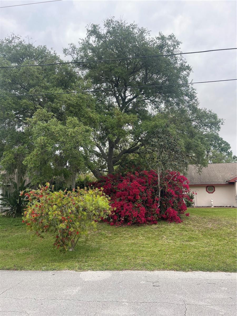 2766 AUGUSTINE CT, DELTONA, FL, 32738