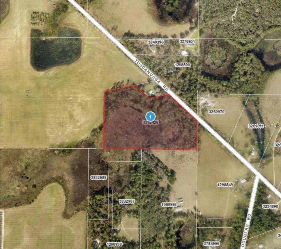 TUSCANOOGA RD, MASCOTTE, FL, 34753