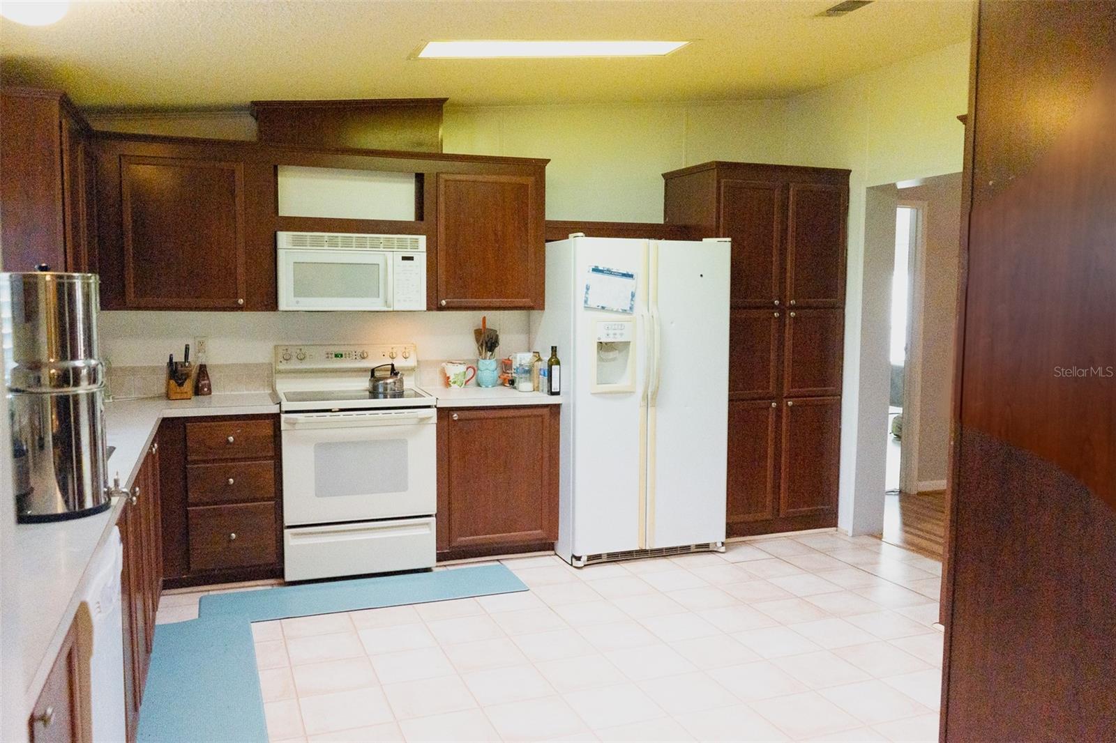 147 RILEY LAKE DR, HAWTHORNE, FL, 32640