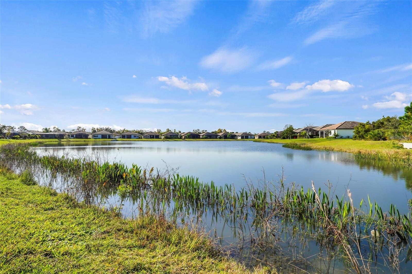 20959 FETTERBUSH PL, VENICE, FL, 34293