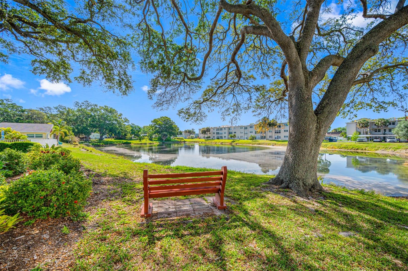 821 DELEON CT #103, DUNEDIN, FL, 34698